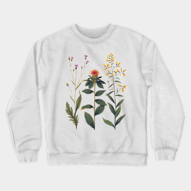 Wildflowers and Thistles Vintage Botanical Crewneck Sweatshirt by AntiqueImages